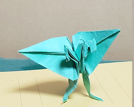 �L���O�M�h��