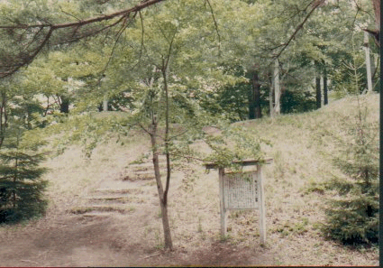 �L���X�g�̕�